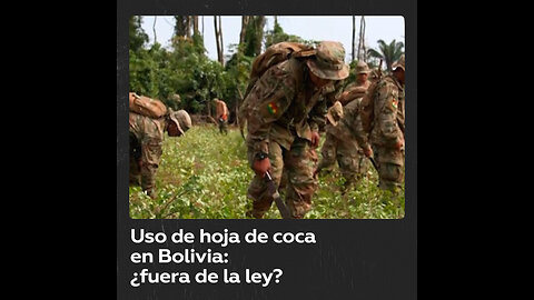 Uso de la hoja de coca en Bolivia, prohibido por la ONU