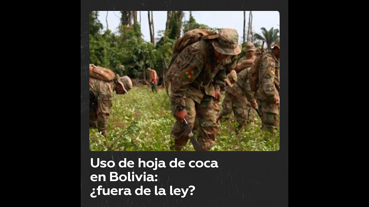 Uso de la hoja de coca en Bolivia, prohibido por la ONU