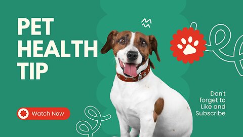 Unlock Your Pet's Full Potential: The Secret to Healthier, Happier Pets Revealed!