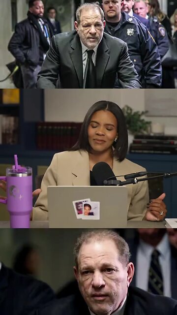 How did Candace Owens speak with Harvey Weinstein?