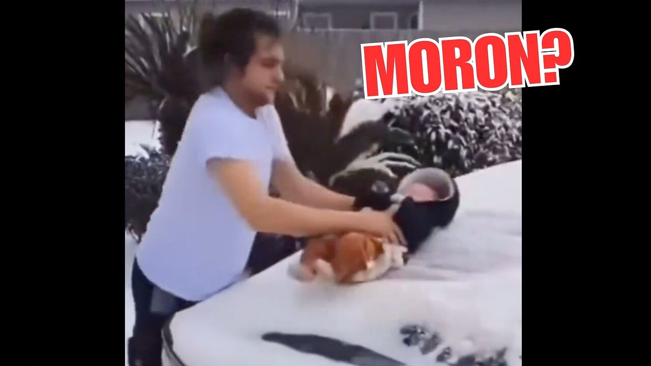 Innocent prank or seriously dumb?