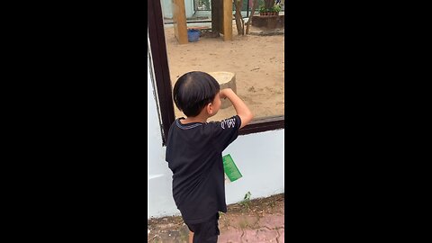 Con capybara kìa mẹ ... mẹ thấy rồi
