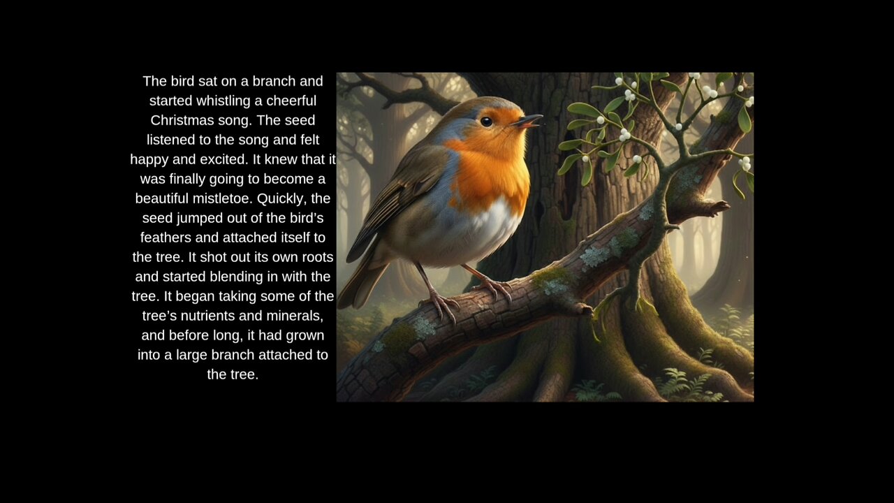 English Stories the seed that became mistletoe