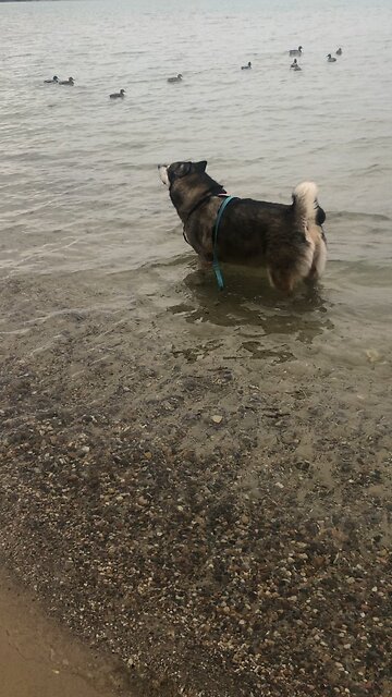 Tuesday November 4, The joys of those who are kind to the poor.