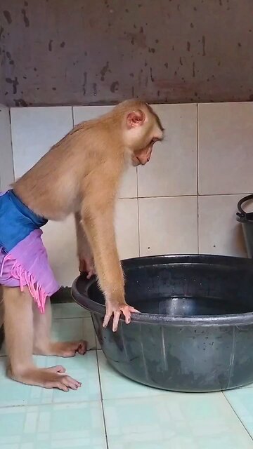 Best SokYaa, OG, Pao & Mom Are Famous Around The World #shorts #anime #trend #edit