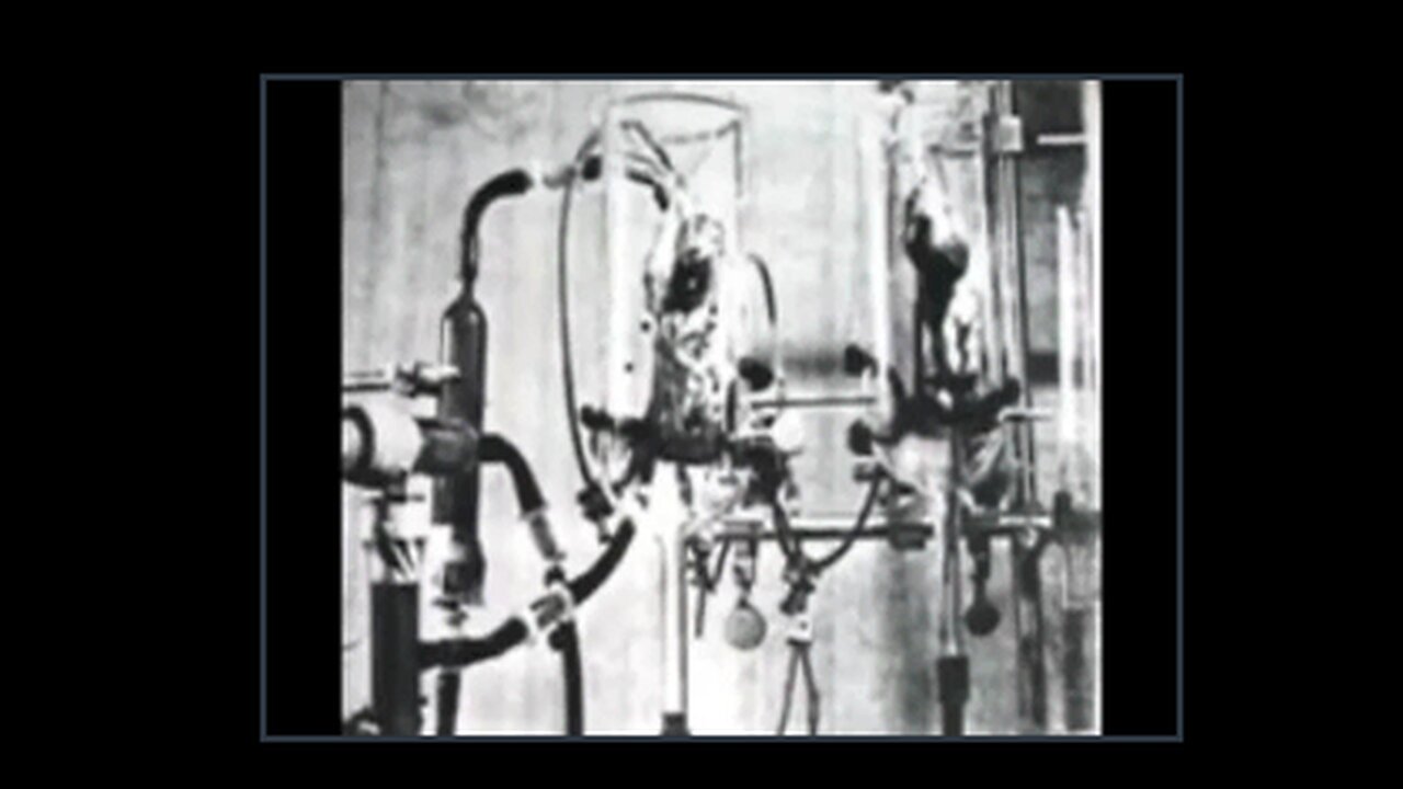 Q and A with Thomas Edwin Castello security guard at Dulce who went missing after this interview