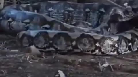 😱👻 You Won't Believe What They Caught on Camera! Alien Encounter | TheHauntingHour