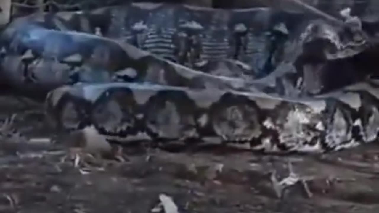 😱👻 You Won't Believe What They Caught on Camera! Alien Encounter | TheHauntingHour