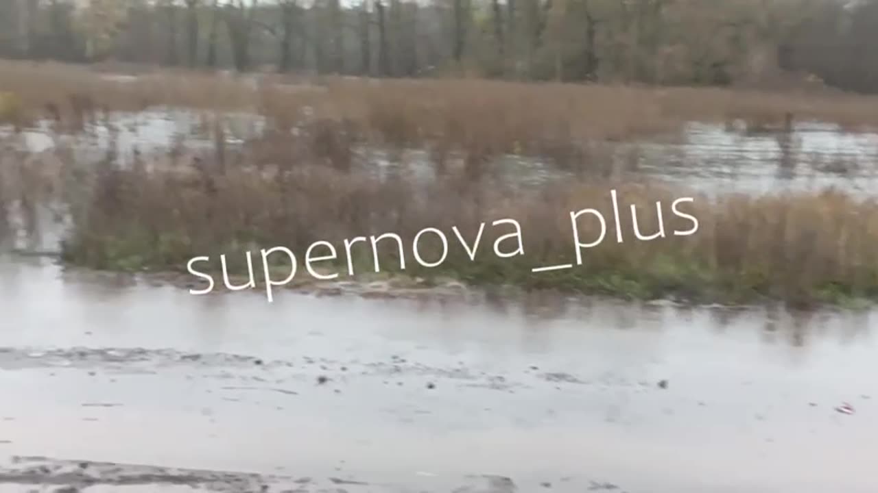 🌊 Shibekino, Dub position, Russians complain about logistical problems,