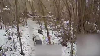 Border guards-FPV operators of the "Aquila" unit of the "Steel Border" brigade destroyed