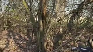 💥🔥 Ukraine Russia War | Ukrainian Forces Destroy Russian BM-21 Grad MLRS | RCF