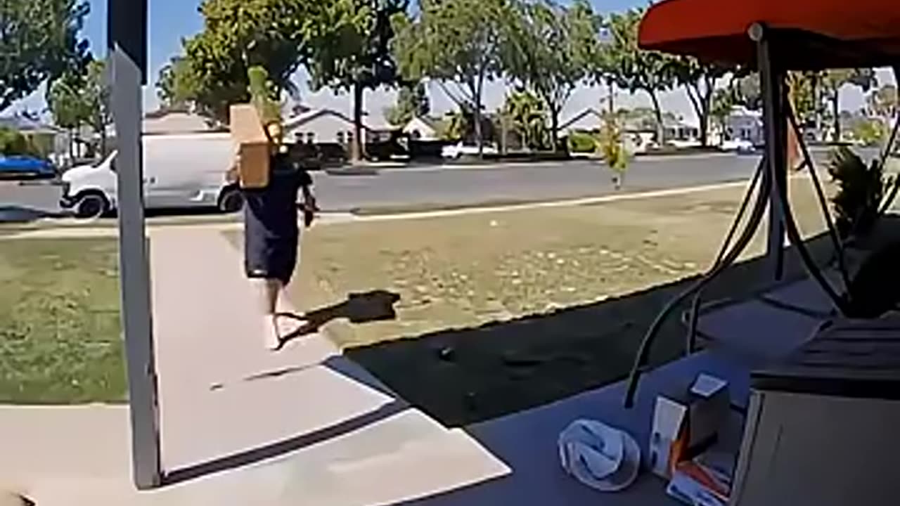 🚚💨 Bad vs Good Delivery Drivers! | FeedMyCuriosity