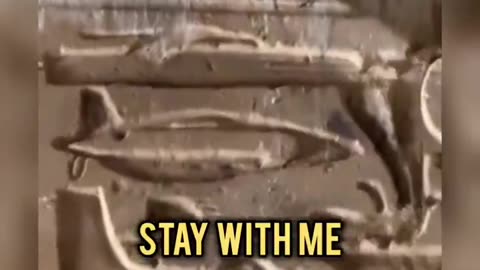 What was really going on in Ancient Egypt?