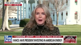 Leavitt blasts 'FAKE NEWS'