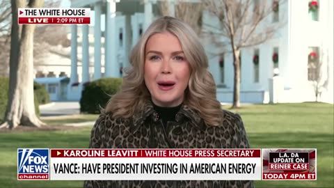 Leavitt blasts 'FAKE NEWS'