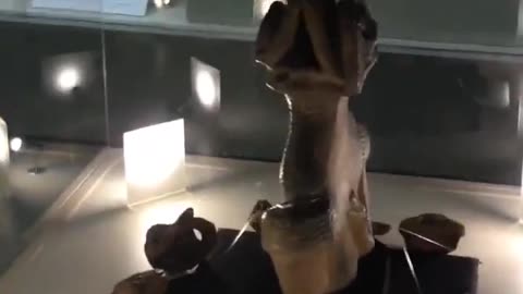 👽🌌 Tridactyls Exhibit at Shakado Museum: A Sight to Behold! | TheTruthAbove
