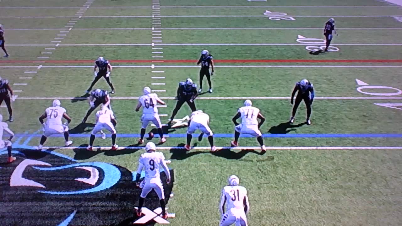 adamsfoxsportsnetworks