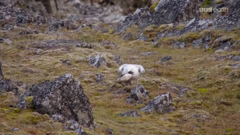 ŁOWCY 2 dokument pl