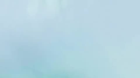 Fresh water is not scarce. We never needed to drink recycled waste water