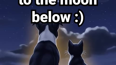 Comment your wish to the moon below #anxietyrelief #cat #lofihiphop #calmingmusic #cute #lofimusic