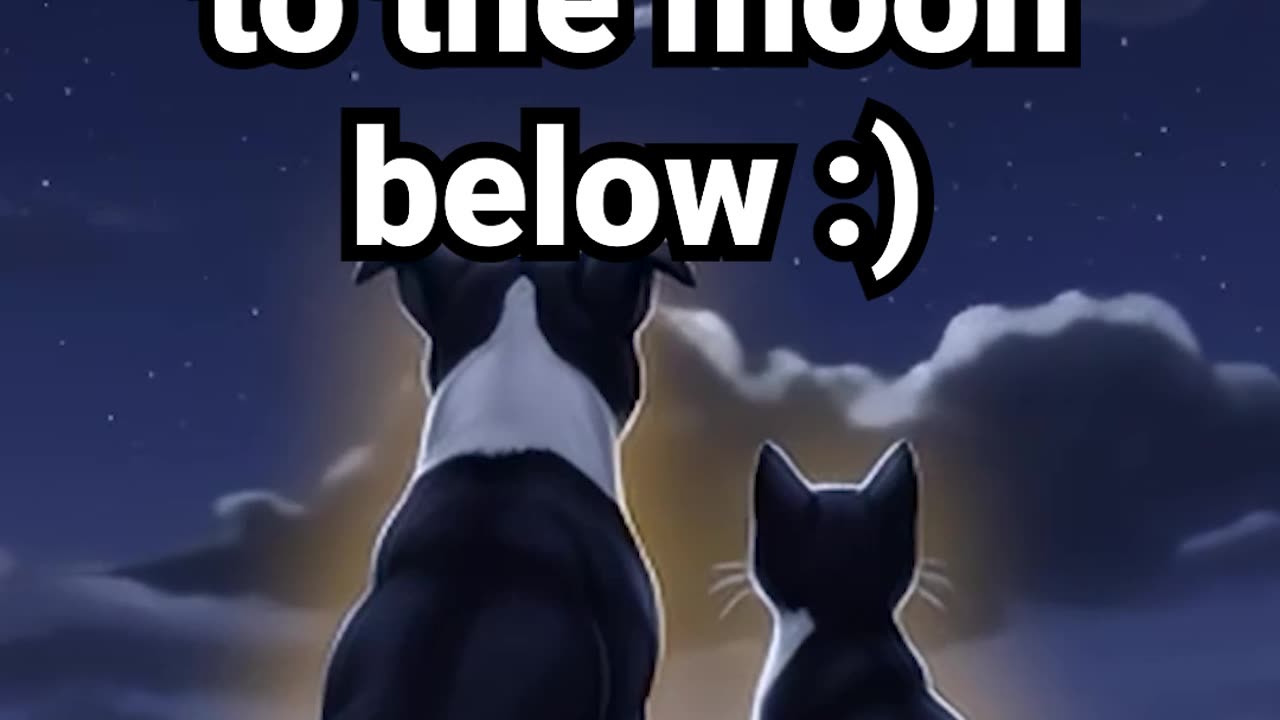 Comment your wish to the moon below #anxietyrelief #cat #lofihiphop #calmingmusic #cute #lofimusic