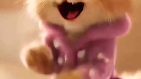 AI Video:cats@show