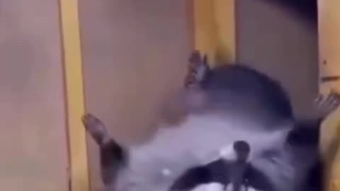 When you’re an engineer and you realize the only thing you’re building is