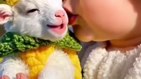 Cute video