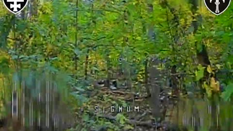 Ukrainian Pilot is On Another Level, Chasing Russian Soldiers Through a Forest