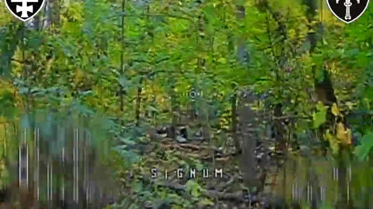 Ukrainian Pilot is On Another Level, Chasing Russian Soldiers Through a Forest