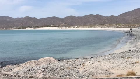 Gut Bacteria and GLP-1: Metabolic Health with Bifidobacterium, Lactobacillus, and Akkermansia