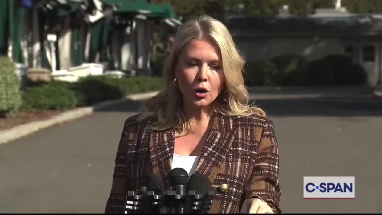 Karoline Leavitt declines to say if emergency rooms should treat dying immigrants