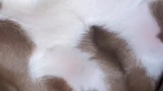 This video has 120 million views