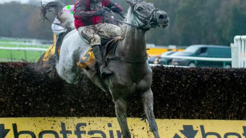 Skelton’s Grey Dawning has talent to light up Kempton in wide-open race