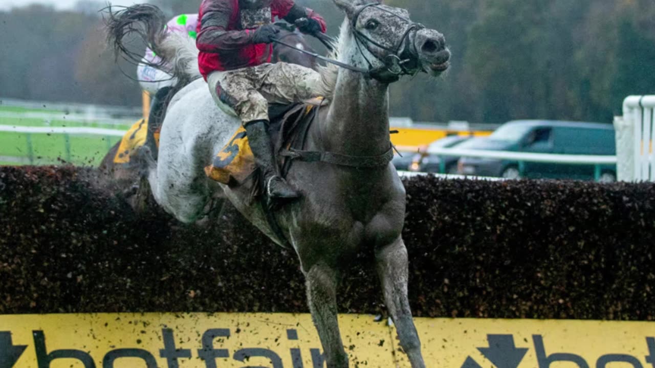 Skelton’s Grey Dawning has talent to light up Kempton in wide-open race