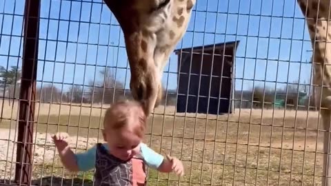 Pets and kids