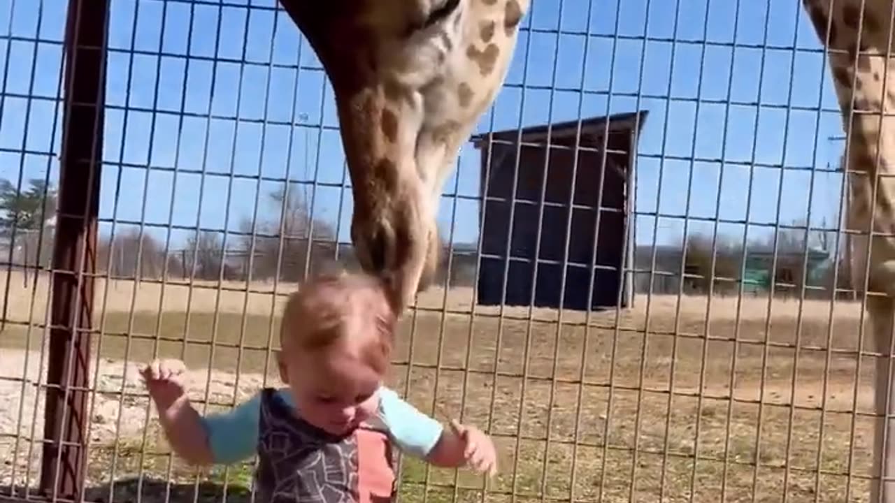 Pets and kids