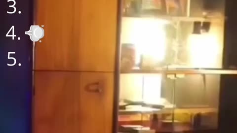 Funny cats and dogs #06