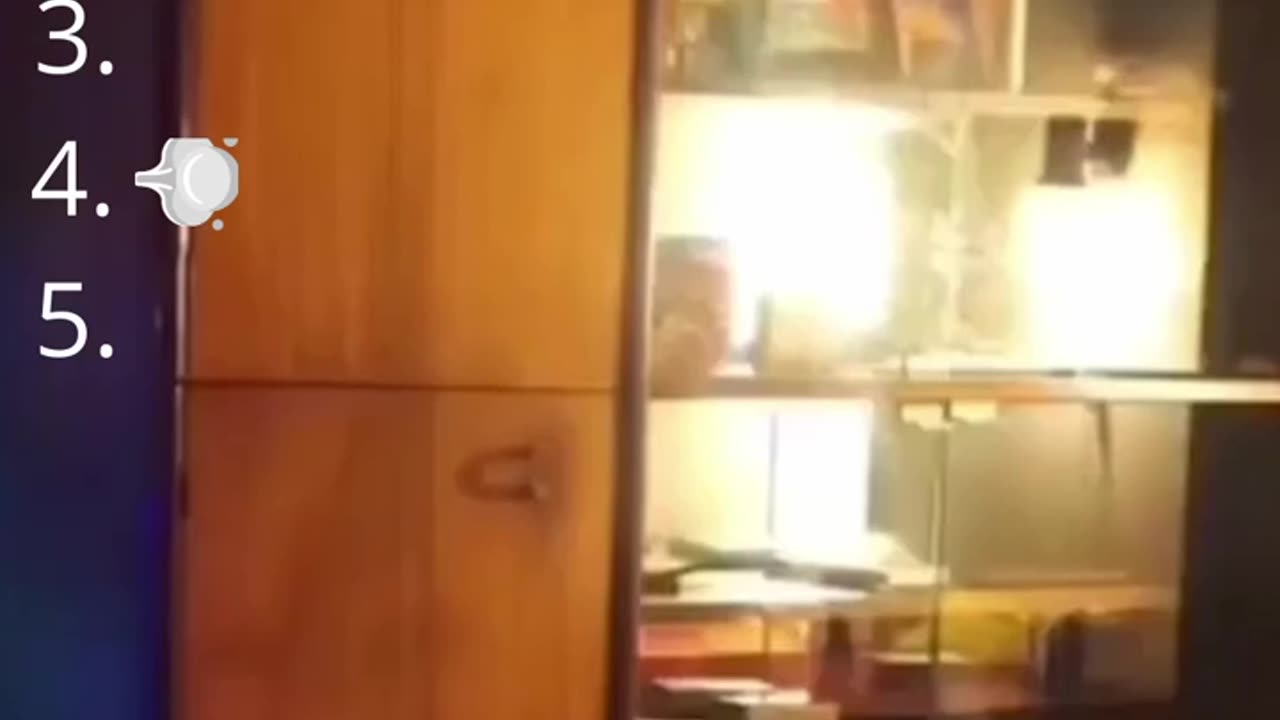 Funny cats and dogs #06