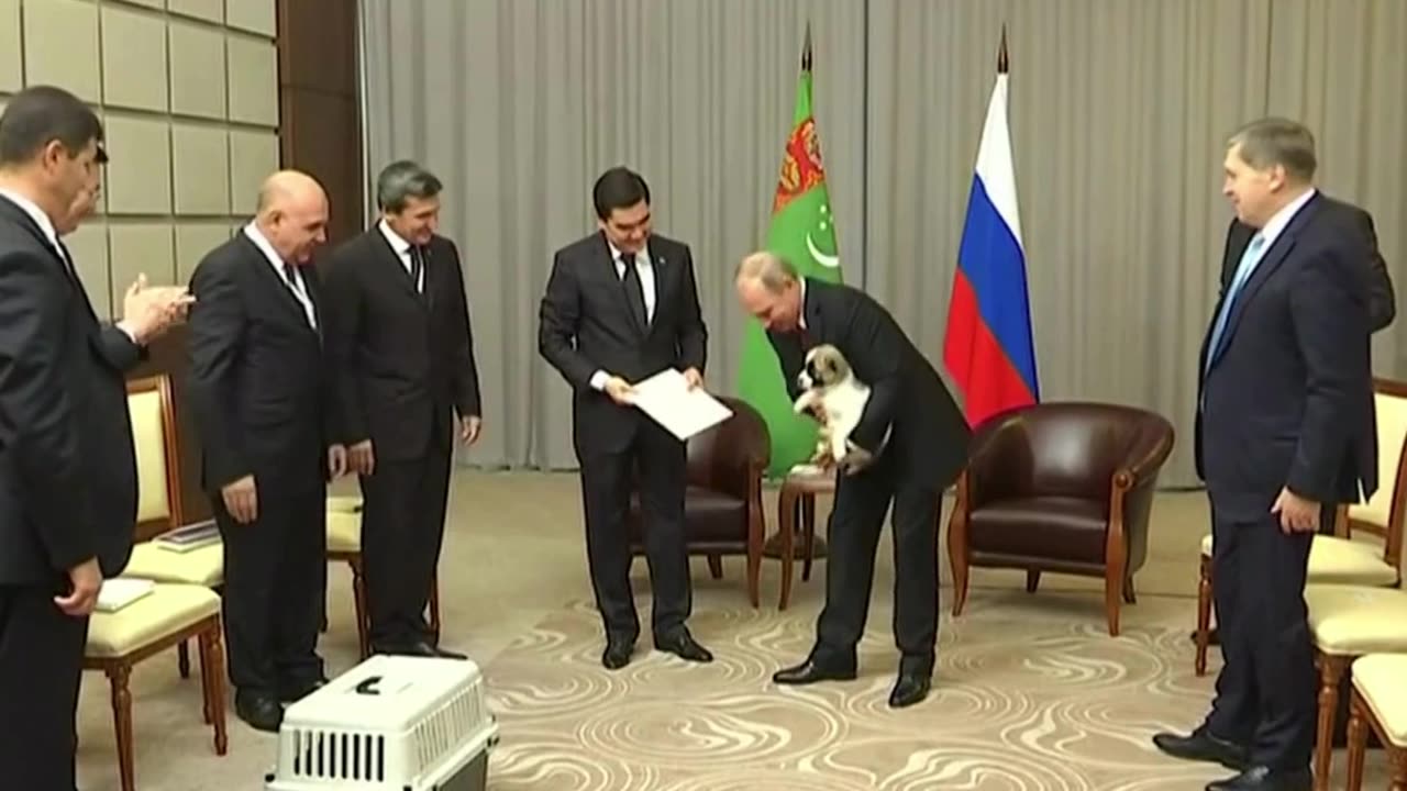 The Putin puppy moment that broke the internet