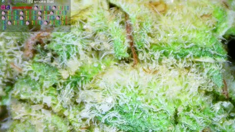 Let's Get HIGH!🔥Smoke Sesh🍃420💨!MJ