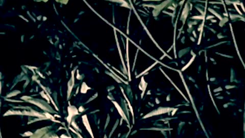Wolkenwanderung (Teaser 2 upright) - humans(R)demons