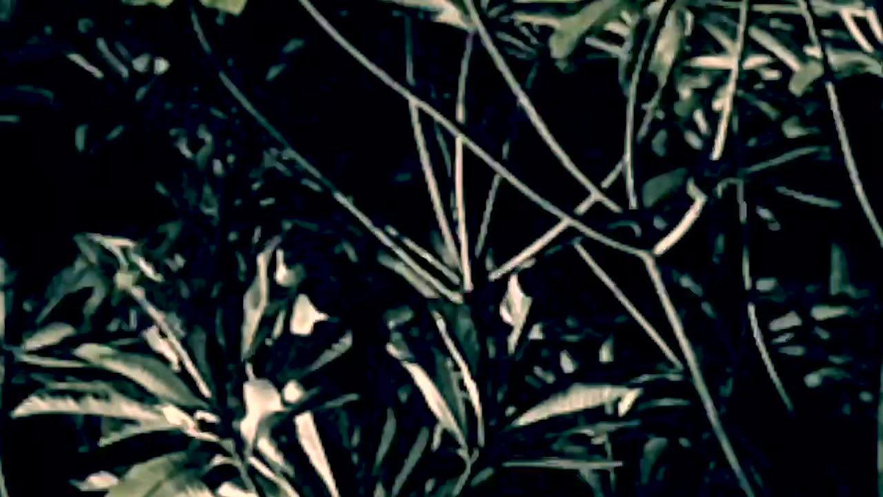 Wolkenwanderung (Teaser 2 upright) - humans(R)demons