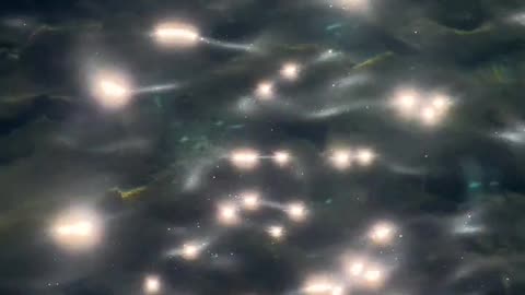 Daily Horoscope | Pisces 🌟