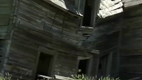 Celebrating Rachael Carpani’s Life and L | International News