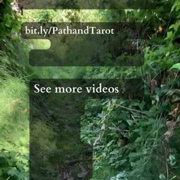 Untapped Growth | Path and Tarot Readings