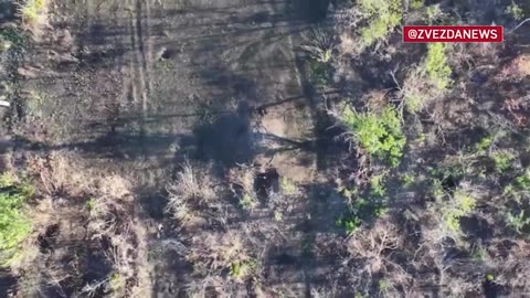 Ukriane war combat footage 10/1/25