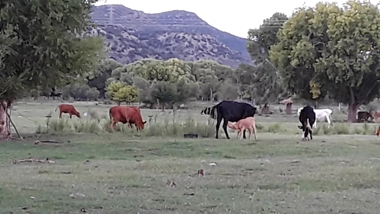 Santa Isabel Chihuahua 1