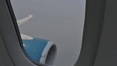 Bahamasair (LevelUP 737v2)