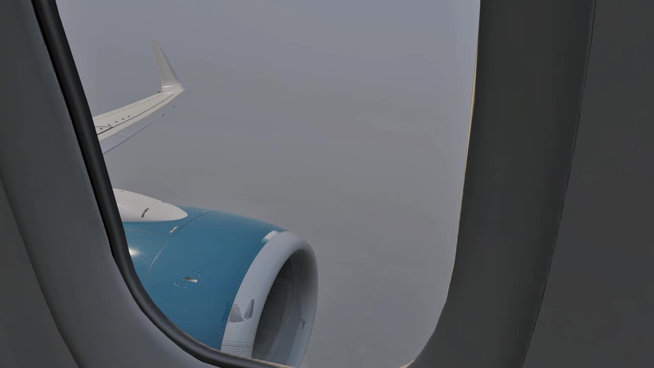 Bahamasair (LevelUP 737v2)